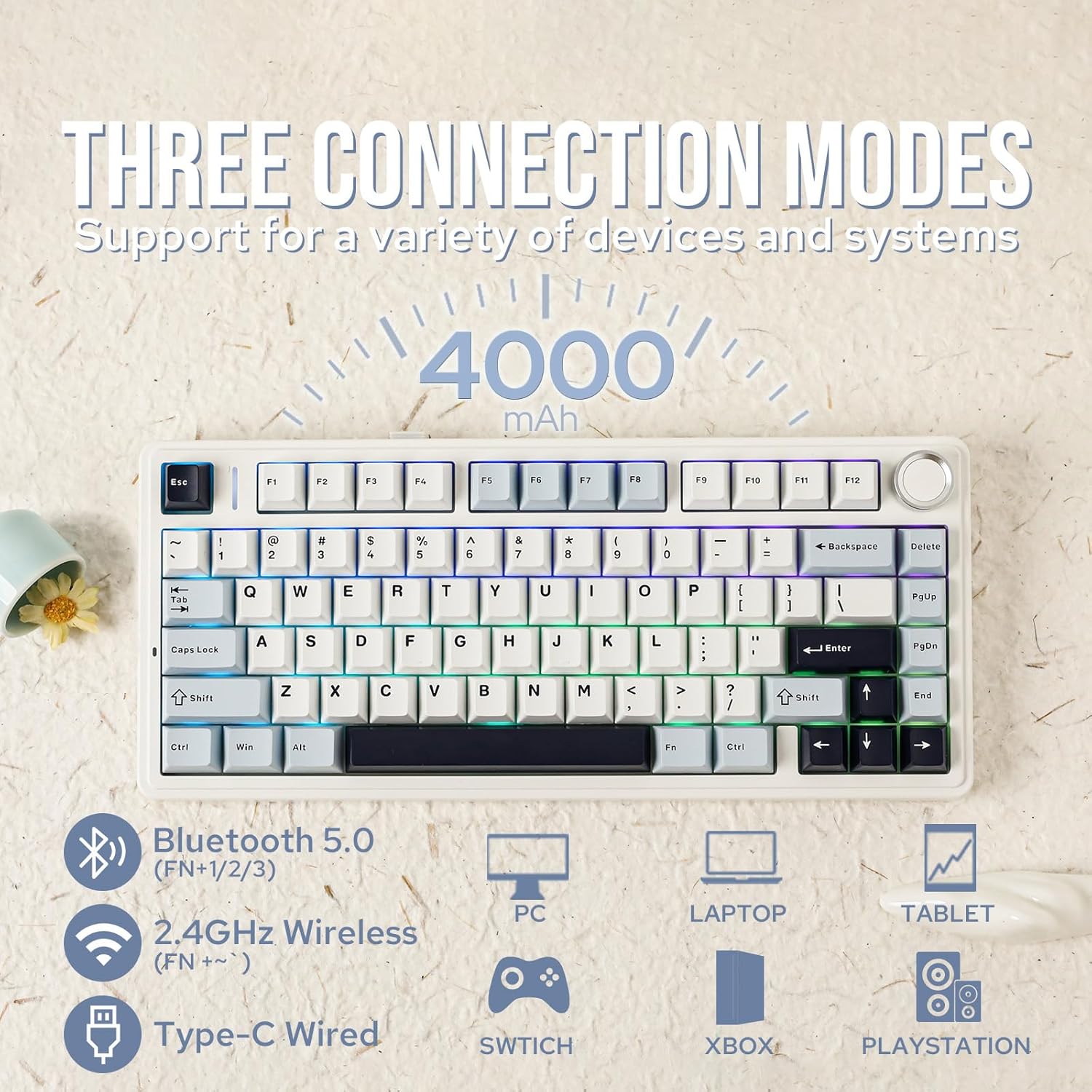 Gaming Keyboard Type C - Tastiera Meccanica Aula F75 75% Wireless
